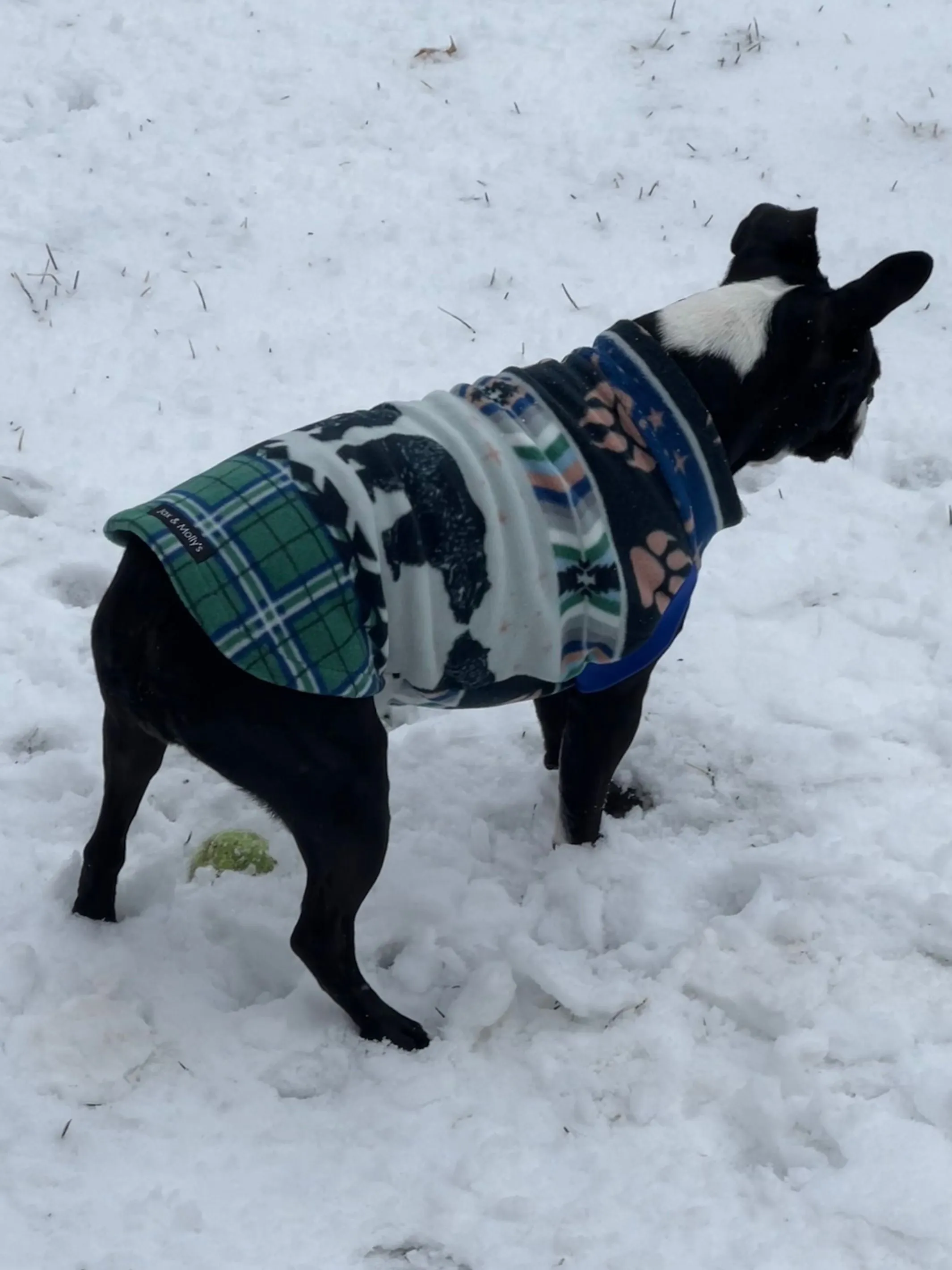 The Bear Claw Dog Sweater